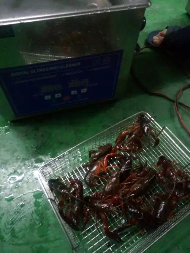 小龙虾超声波清洗机洗虾机